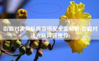 街霸对决风队阵容搭配全面解析(街霸对决光队阵容推荐)