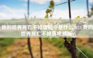我的世界死亡不掉落指令是什么2022(我的世界死亡不掉落电脑版)