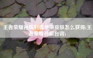 王者荣耀孙膑归虚梦演皮肤怎么获得(王者荣耀孙膑台词)