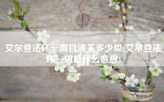 艾尔登法环一周目通关多少级(艾尔登法环一周目什么意思)