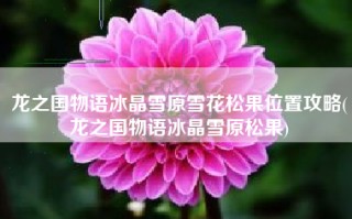 龙之国物语冰晶雪原雪花松果位置攻略(龙之国物语冰晶雪原松果)