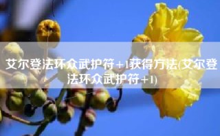 艾尔登法环众武护符+1获得方法(艾尔登法环众武护符+1)