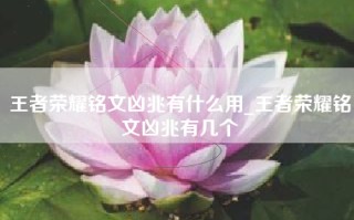 王者荣耀铭文凶兆有什么用_王者荣耀铭文凶兆有几个