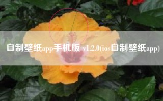 自制壁纸app手机版 v1.2.0(ios自制壁纸app)