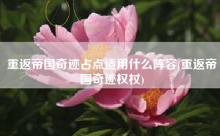 重返帝国奇迹占点适用什么阵容(重返帝国奇迹权杖)