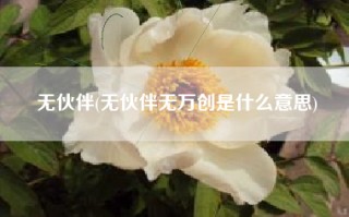 无伙伴(无伙伴无万创是什么意思)