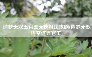 造梦无双五官王无伤打法攻略(造梦无双悟空过五官王)