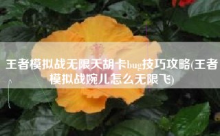 王者模拟战无限天胡卡bug技巧攻略(王者模拟战婉儿怎么无限飞)