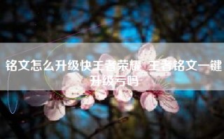铭文怎么升级快王者荣耀_王者铭文一键升级亏吗