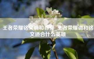 王者荣耀铭文调和百穿_王者荣耀调和铭文适合什么英雄