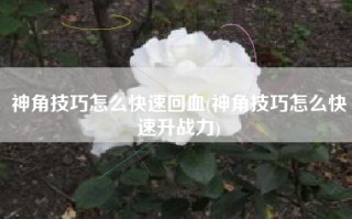 神角技巧怎么快速回血(神角技巧怎么快速升战力)