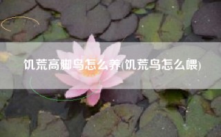 饥荒高脚鸟怎么养(饥荒鸟怎么喂)