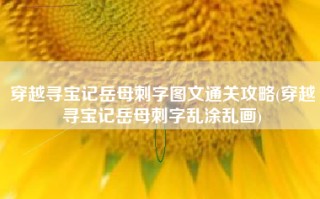 穿越寻宝记岳母刺字图文通关攻略(穿越寻宝记岳母刺字乱涂乱画)