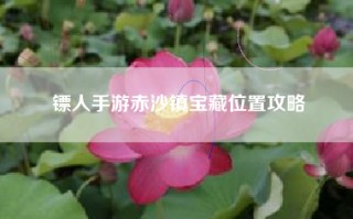镖人手游赤沙镇宝藏位置攻略