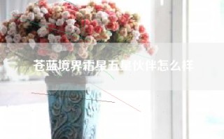苍蓝境界霜星五星伙伴怎么样