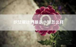 织女星计划暴走小妖怎么样