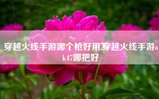 穿越火线手游哪个枪好用,穿越火线手游ak47哪把好