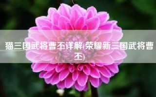 猫三国武将曹丕详解(荣耀新三国武将曹丕)