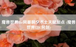 魔兽世界tbc风暴前夕术士天赋加点 (魔兽世界TBC风剑)