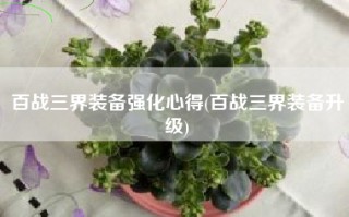 百战三界装备强化心得(百战三界装备升级)