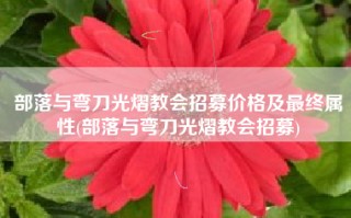 部落与弯刀光熠教会招募价格及最终属性(部落与弯刀光熠教会招募)