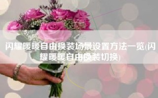 闪耀暖暖自由换装场景设置方法一览(闪耀暖暖自由换装切换)