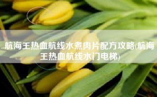 航海王热血航线水煮肉片配方攻略(航海王热血航线水门电梯)