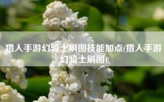 猎人手游幻骑士刷图技能加点(猎人手游幻骑士刷图)