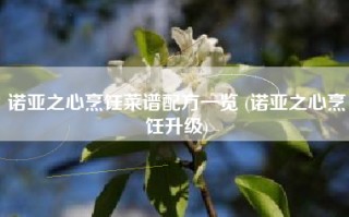 诺亚之心烹饪菜谱配方一览 (诺亚之心烹饪升级)