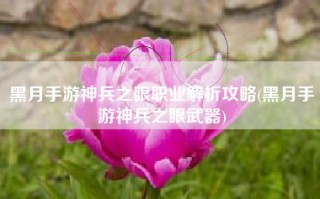 黑月手游神兵之眼职业解析攻略(黑月手游神兵之眼武器)