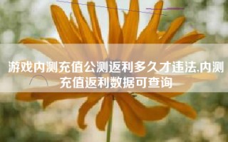 游戏内测充值公测返利多久才违法,内测充值返利数据可查询