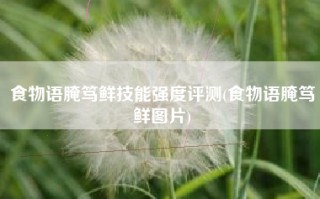 食物语腌笃鲜技能强度评测(食物语腌笃鲜图片)