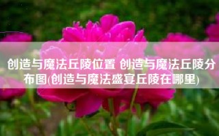 创造与魔法丘陵位置 创造与魔法丘陵分布图(创造与魔法盛宴丘陵在哪里)