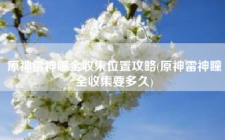 原神雷神瞳全收集位置攻略(原神雷神瞳全收集要多久)