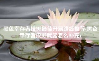 黑色幸存者投掷最佳开局路线推荐(黑色幸存者投掷武器怎么补充)