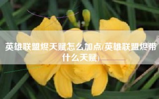 英雄联盟烬天赋怎么加点(英雄联盟烬带什么天赋)