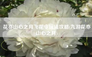 花亦山心之月飞花令玩法攻略(九游花亦山心之月)