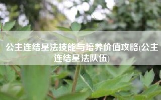 公主连结星法技能与培养价值攻略(公主连结星法队伍)