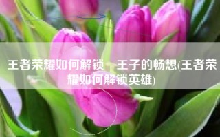 王者荣耀如何解锁暃王子的畅想(王者荣耀如何解锁英雄)