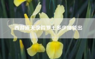 西游道天录阎罗王多少抽能出