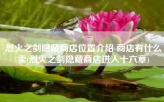 烈火之剑隐藏商店位置介绍 商店有什么卖(烈火之剑隐藏商店进入十六章)