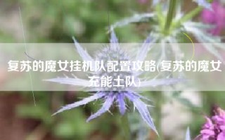 复苏的魔女挂机队配置攻略(复苏的魔女充能土队)