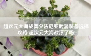 超次元大海战宾夕法尼亚武器装备选择攻略(超次元大海战凉了吗)
