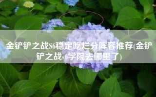 金铲铲之战S6稳定吃烂分阵容推荐(金铲铲之战s6学院去哪里了)