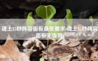 魂土15秒阵容面板最低要求(魂土15秒阵容面板无饭笥)