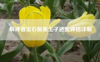 解神者宝石姬黑王子适配神格详解