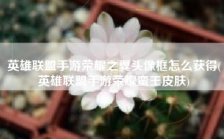 英雄联盟手游荣耀之翼头像框怎么获得(英雄联盟手游荣耀蛮王皮肤)