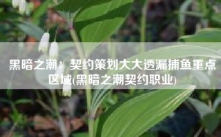 黑暗之潮：契约策划大大透漏捕鱼重点区域(黑暗之潮契约职业)