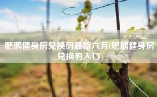 肥鹅健身房兑换码最新六月(肥鹅健身房兑换码入口)