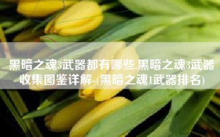 黑暗之魂3武器都有哪些,黑暗之魂3武器收集图鉴详解-(黑暗之魂1武器排名)